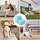 Pack of 100 PIPI Matten für Hunde & Training Pads – 45 × 33 cm Welpen Unterlagen – 6-lagige Einweg-Unterlagen – Auslaufsicher & Schnell trocknend – Hundetoilette für Wohnung & Welpen
