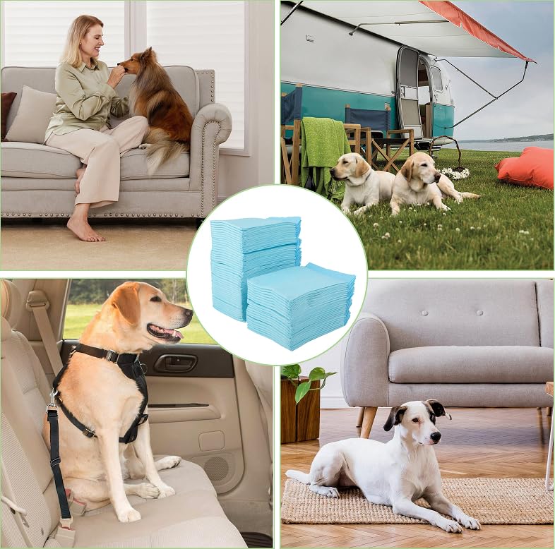 Pack of 100 PIPI Matten für Hunde & Training Pads – 45 × 33 cm Welpen Unterlagen, 6-Lagiges Design - Auslaufsicher & Schnell trocknend – Hundetoilette für Wohnung & Welpen
