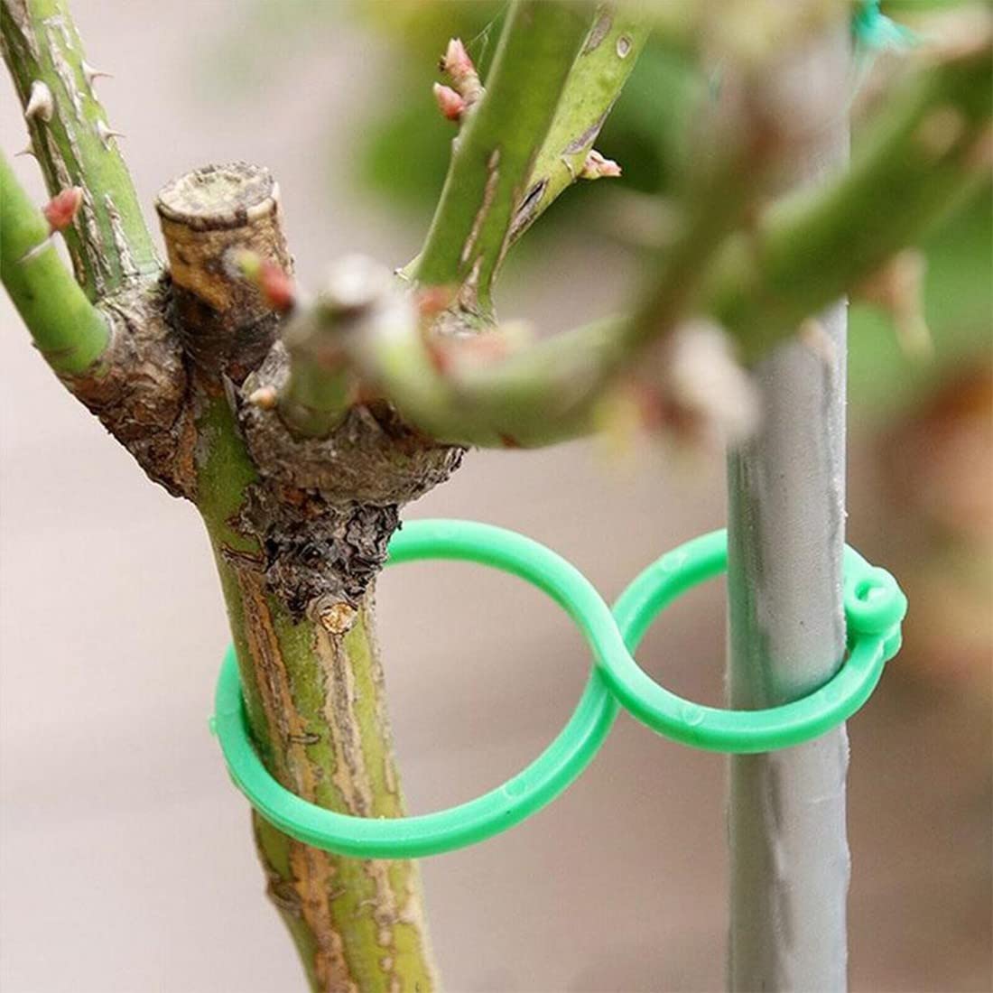 100 Pezzi Clip per Piante, Clips per Piante Rampicanti Riutilizzabili