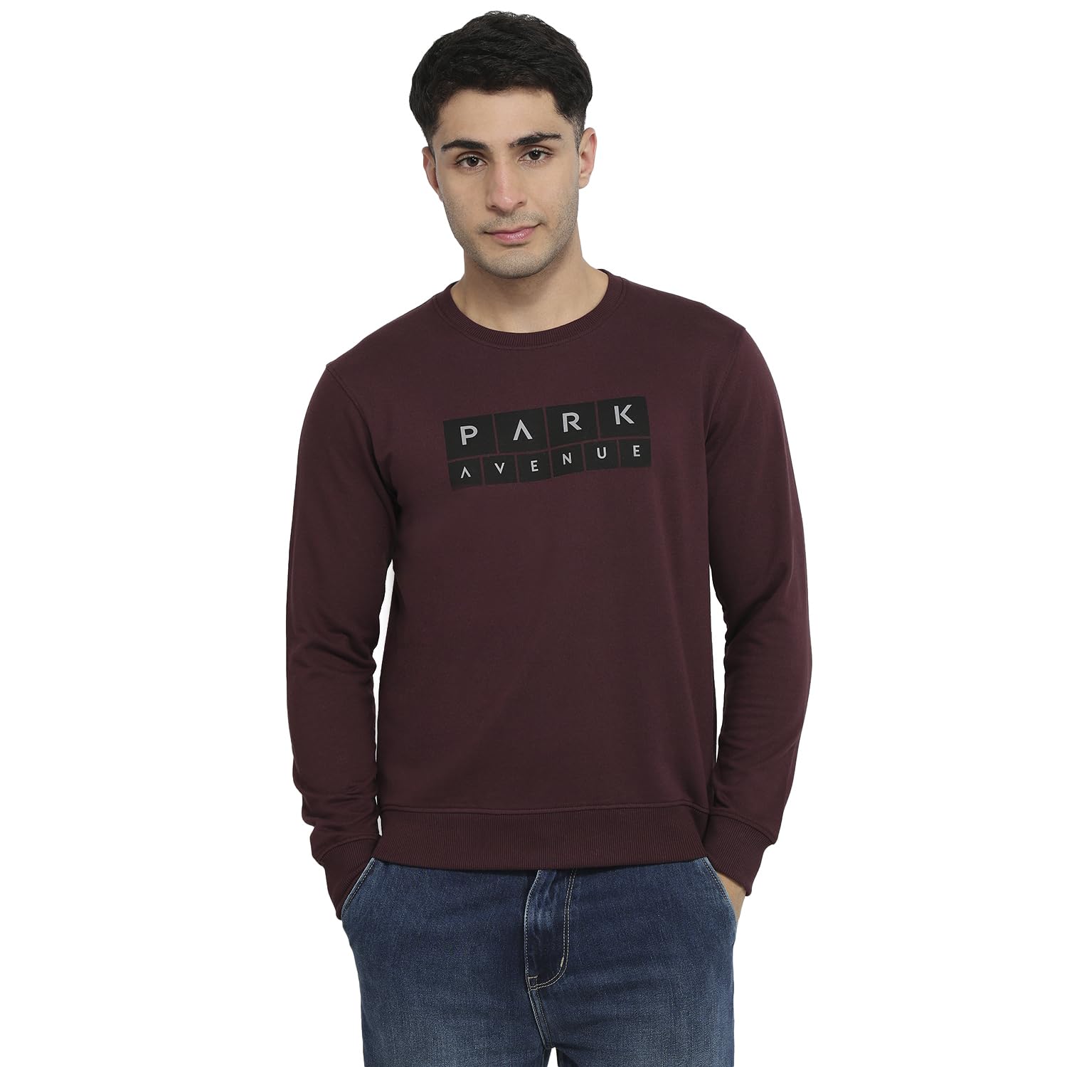 park avenue Men Slim Fit Print Pattern Cotton Polyester Blend Round Neck Full Sleeve Casual Sweatshirt-picture-54