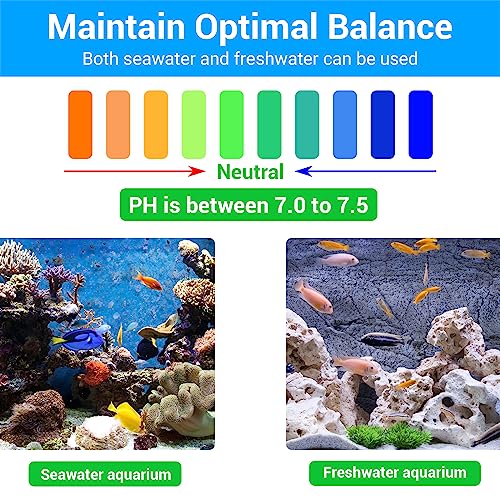 Segarty Filter Media,12 in 1 Bio Media for Aquarium Sump Filter Ceramic Rings Activated Carbon Bio Balls Freshwater Marine Biological Filter Media for Koi Fish Tank Pond Canister (1.1lb with Mesh Bag) - Thumbnail 5