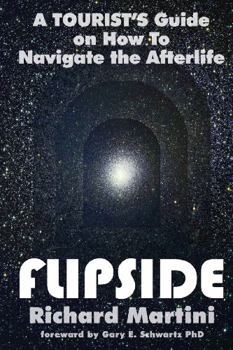 FlipSide: A Tourist's Guide on How to Navigate the Afterlife