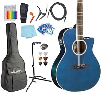 Amazon | モーリス エレアコ MORRIS R-011 初心者 入門 13点