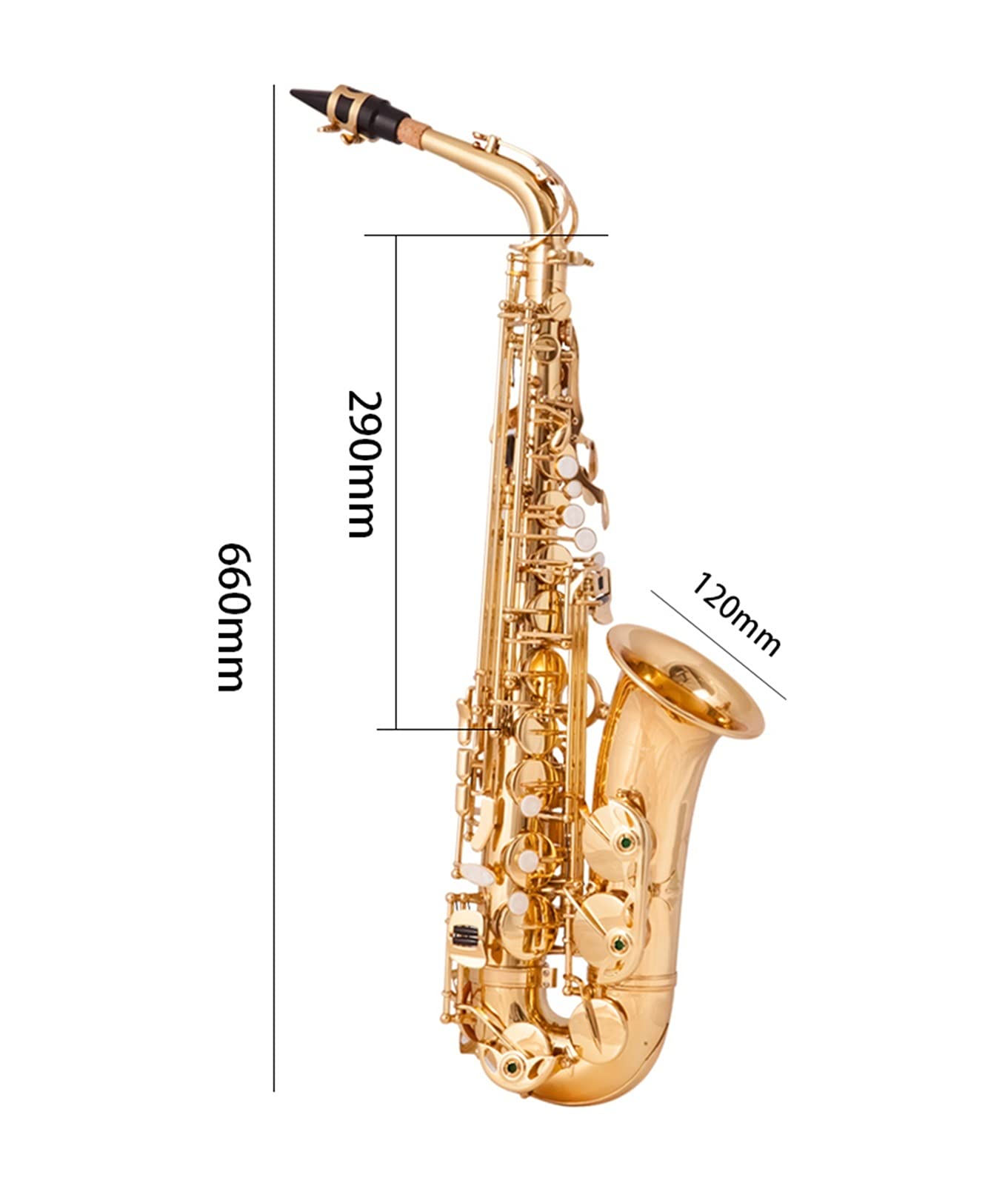 Amazon.com - EB Alto Saxophone Brass Gold Lacquer Music Instrument