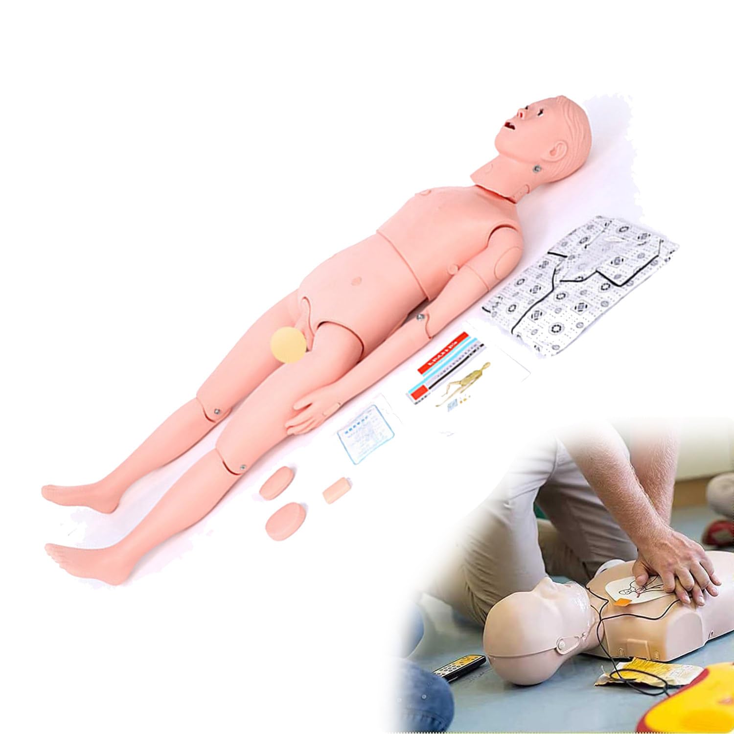 Amazon.co.jp: 成人用CPR心肺蘇生トレーニングマネキン、人体