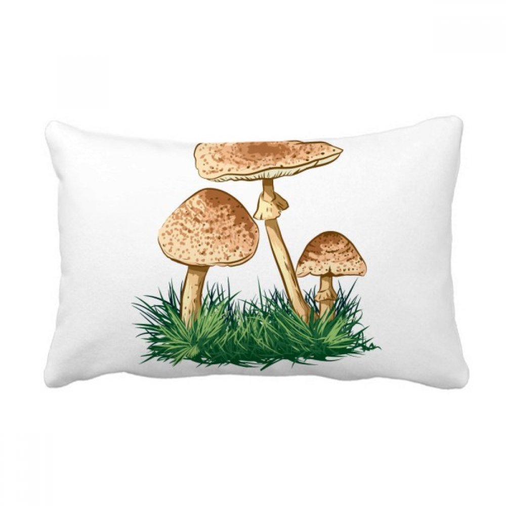 Coussin oreiller lombaire plante verte multicolore de 16x24