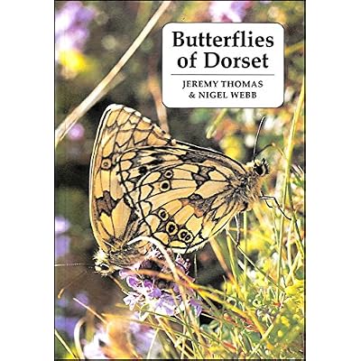 Butterflies of Dorset