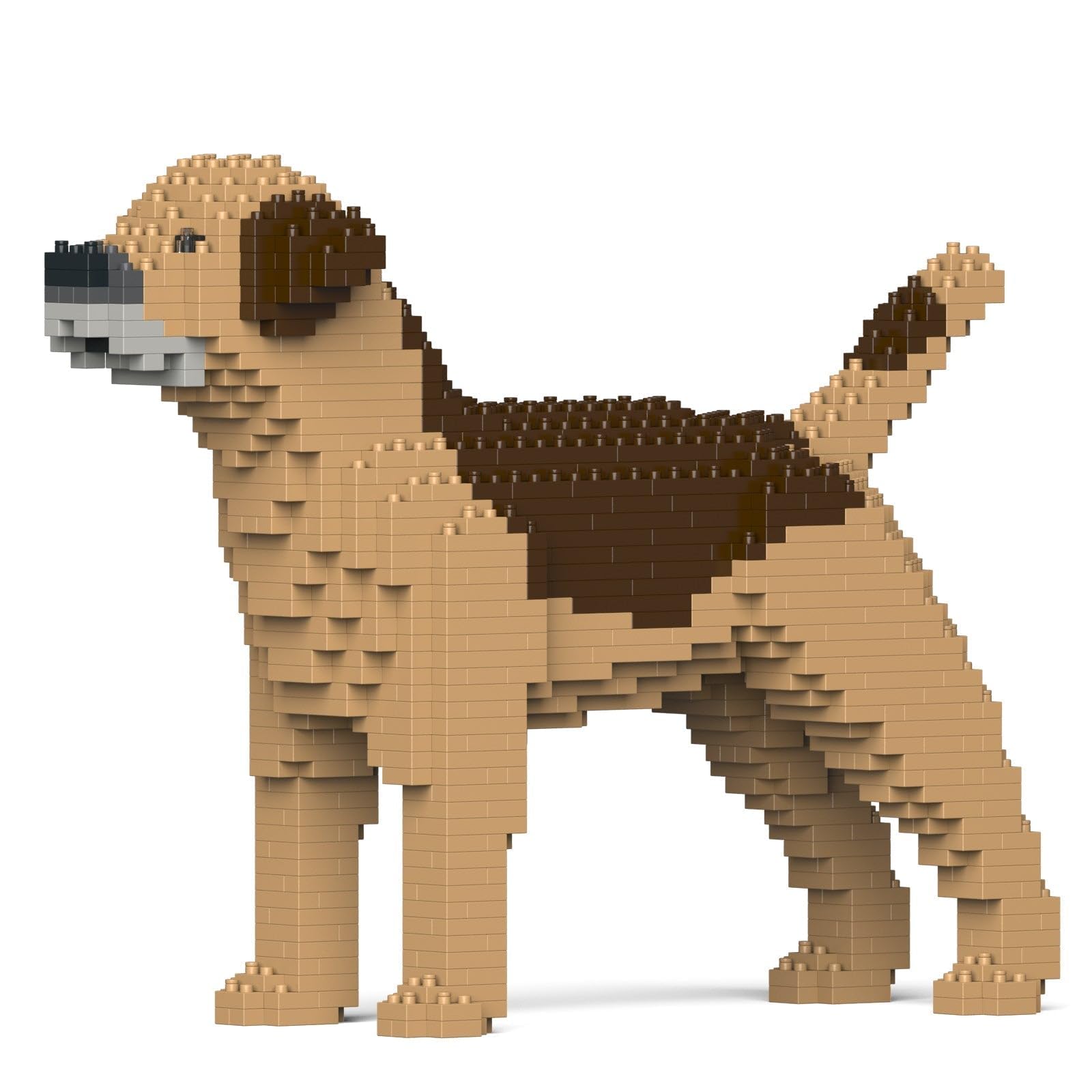 Jekca Brown Border Terrier 01S-M02 | Dog Plastic Building Blocks | Age 14+