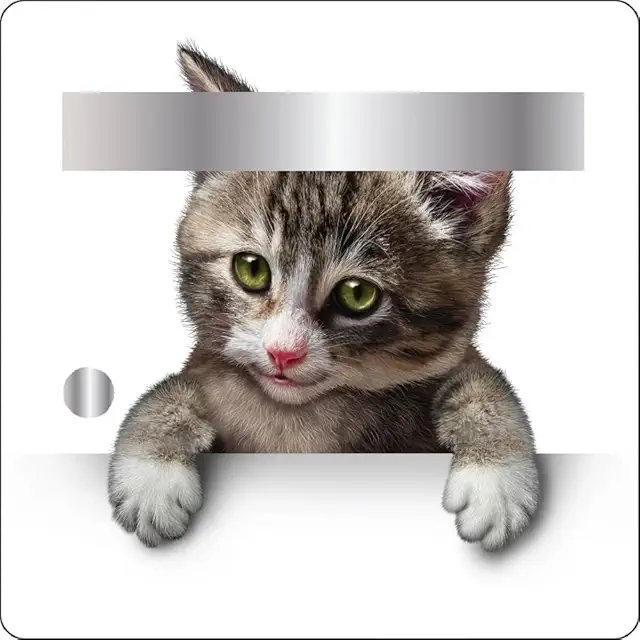 Stickers Déco Boîte aux Lettres Chat 30x30 cm - Décoration Originale