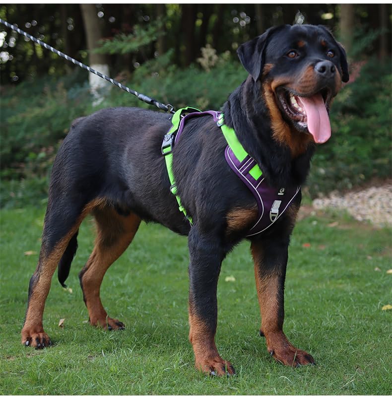 No Pull Dog Harness, Adjustable Reflective Vest with Front & Back Leash Clips, Secure Comfortable Fit for Medium & Large Dogs (Purple/Green) M - image 2