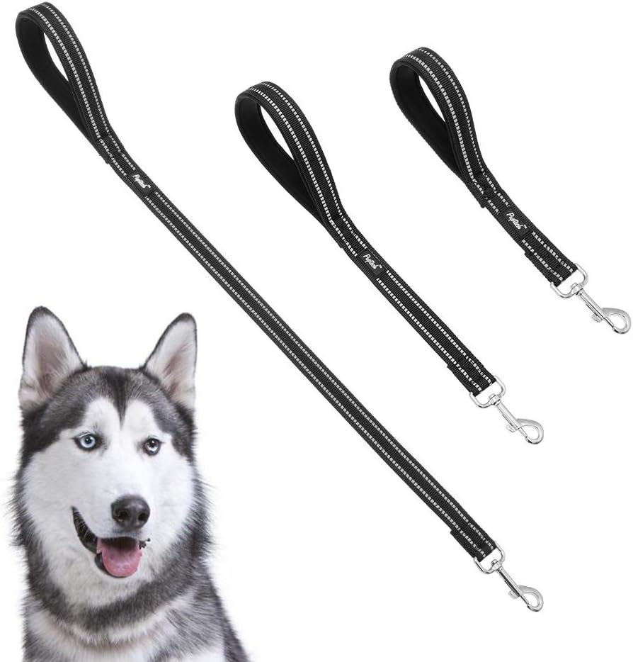 short dog training leash
