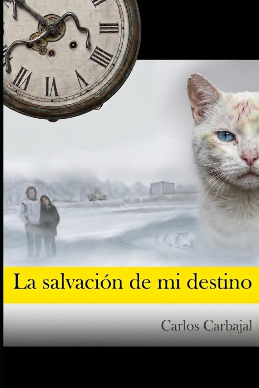 La salvación de mi destino