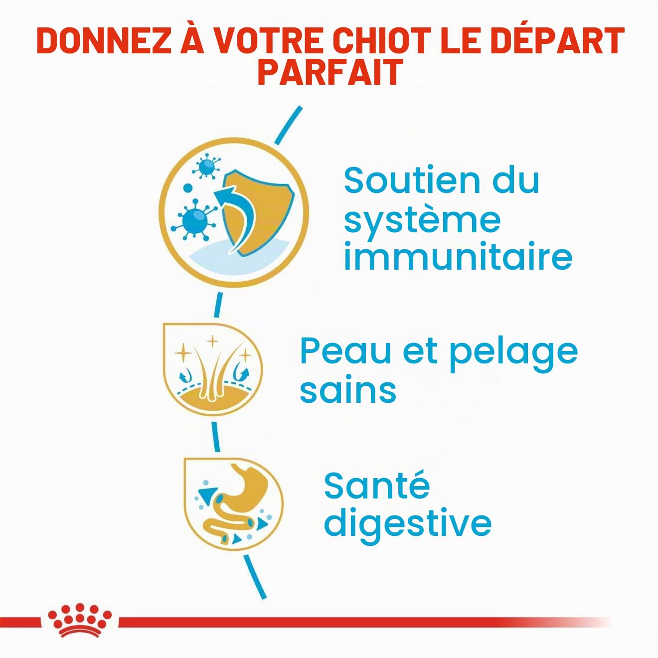 ROYAL CANIN COCKER JUNIOR sac de 3 kg/Croquettes pour chiot COCKER de 2 à 12 mois