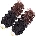 Senegalese Twist Crochet Hair Ombre Synthetic Braiding Hair Havana Mambo Braids Hair Senegalese Twist Black Brown Hair Extensions 35strands/pcs (14 inch 3pcs, #1b/30)