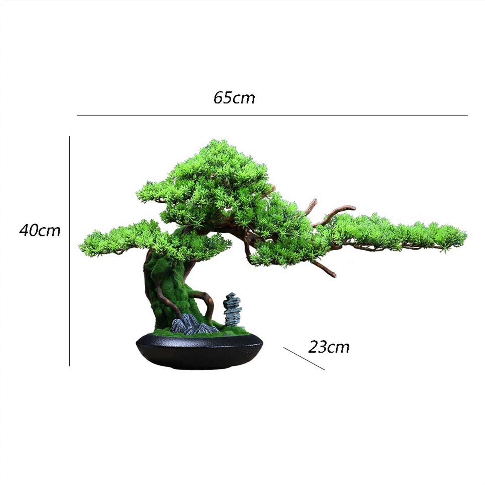 indoor bonsai shop Indoor Bonsai – Bella Bonsai Nursery