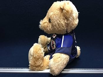 【プレミア品】女子サッカーW杯　限定・優勝記念テディベア プレミア品】女子サッカーW杯 限定・優勝記念テディベア