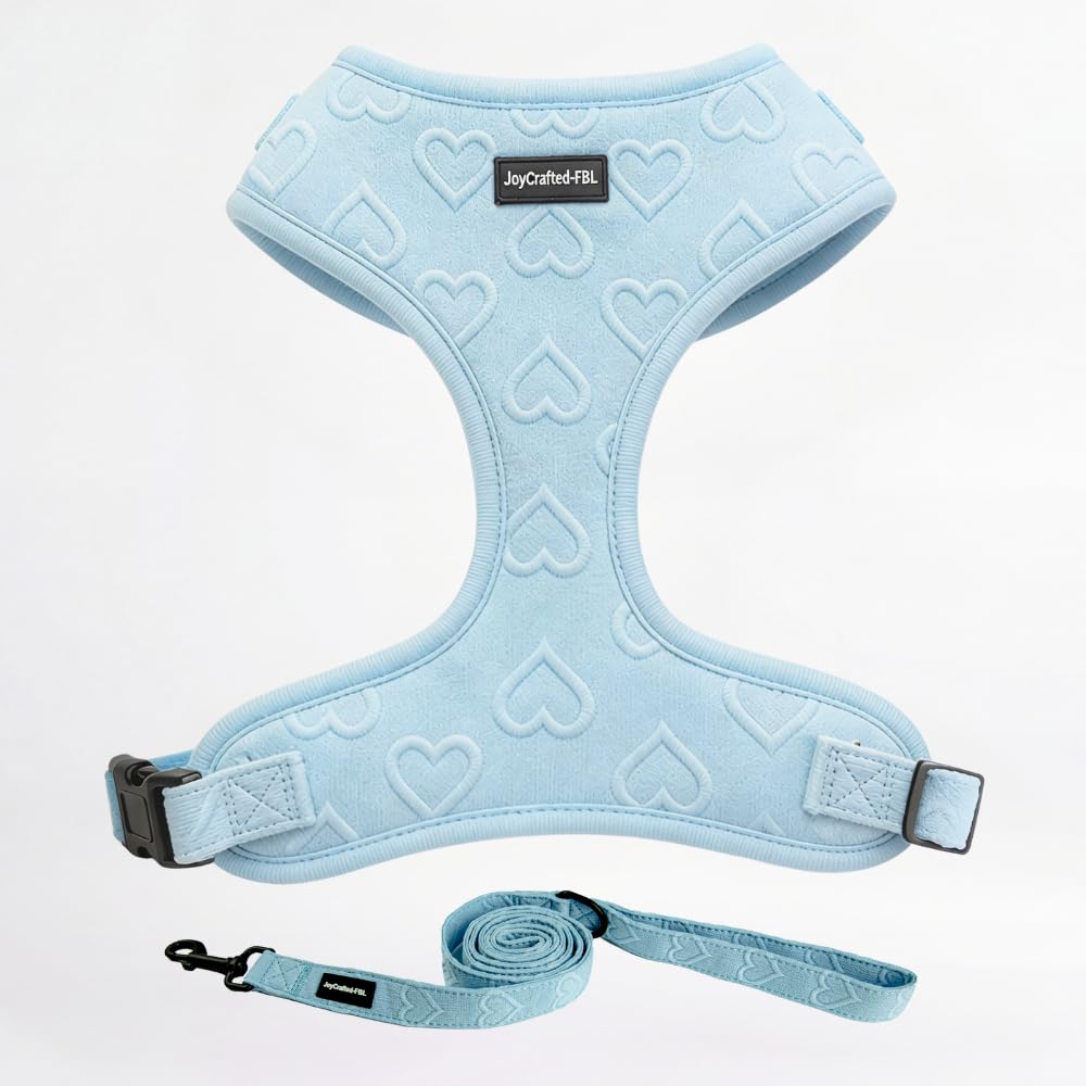 Set di pettorina e guinzaglio per cani di taglia piccola, morbida pettorina imbottita in neoprene traspirante, leggera e regolabile, con graziosa stampa a forma di cuore e anello a D posteriore sicuro