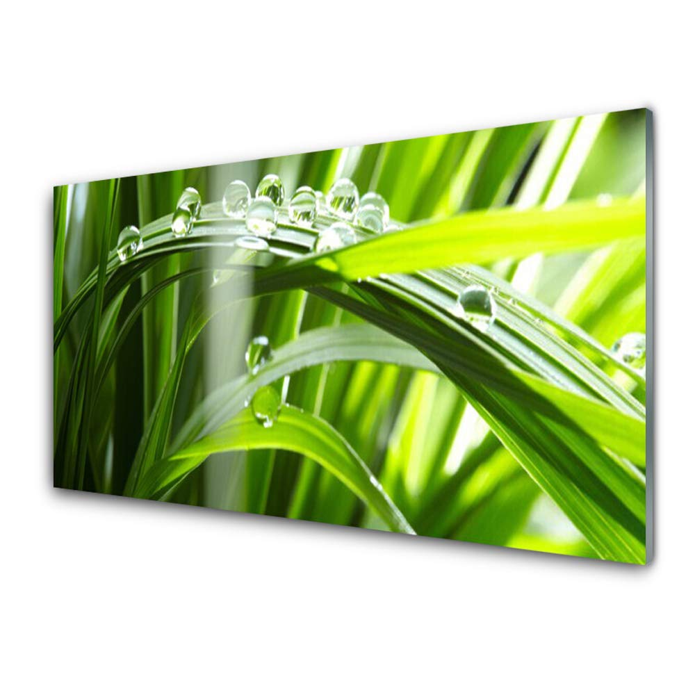 Plastique imprimés tableau mural Tulup herbe rosée pour illuminer un mur sombre
