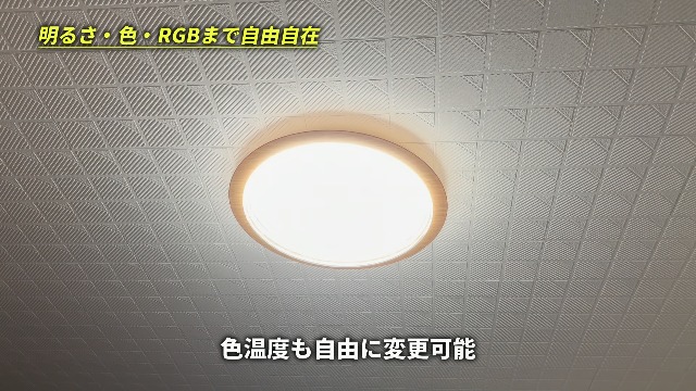 Amazon.co.jp : GHETTALINN LED シーリングライトスピーカー Alexa対応