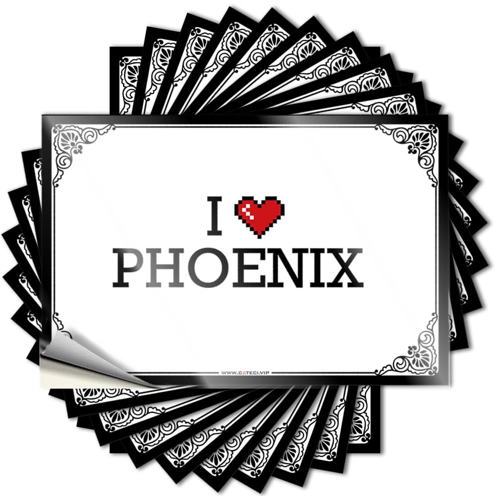 Backyard Decor Tattoos Case | I Love Phoenix Fun Gamer Sticker Pack(12X18CM)