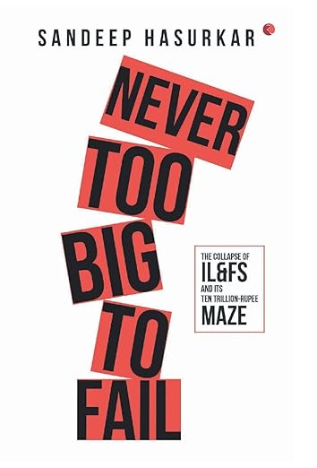 NEVER TOO BIG TO FAIL (HB)