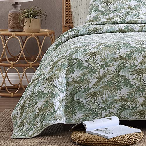 Tommy Bahama - Queen Quilt Set, Reversible Cotton Bedding With Matching Shams, All Season Home Decor (Green Island, Queen) #TOP6