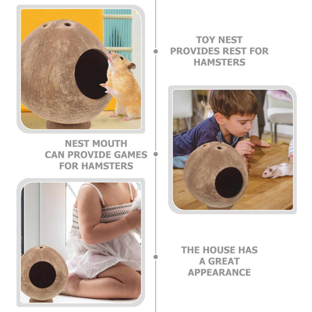 MAGICLULU Braun Kokosnusshütte 2 Stück aus Kokosnussschale Hamster