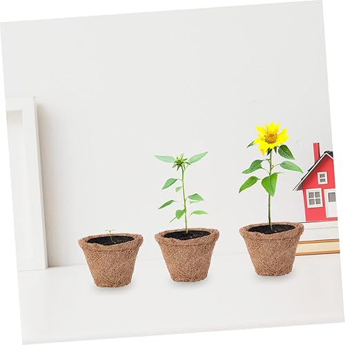 Miniatura 9 de NOLITOY 20 piezas de palmera de coco para cuarto de bebé, macetas de fibra de coco, bandeja de plantas de plantas, maceta de turba biodegradable,