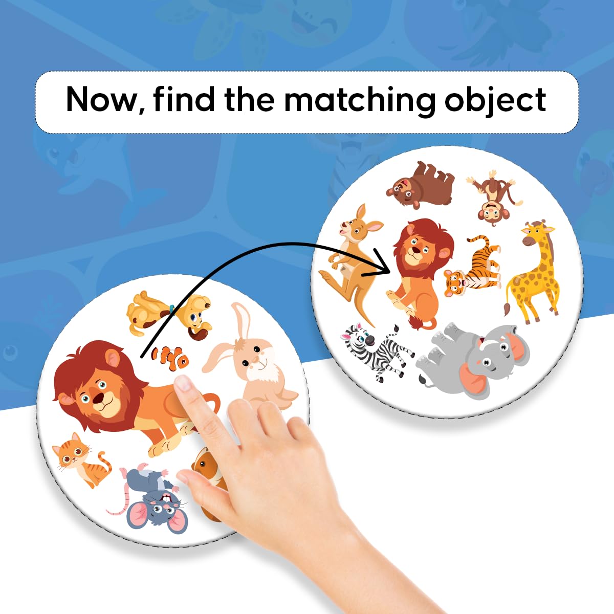 GiniMini Animal Frenzy – 57 Animal-Themed Educational Cards for Kids 3+ | Vocabulary & Matching Skill Builder | Fast Observation Game for Toddlers | Family & Travel-Friendly Learning Toy 2