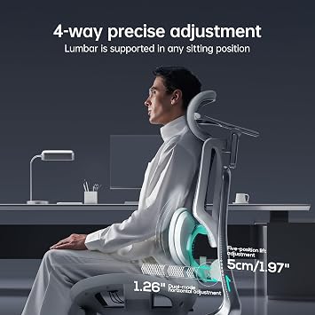 Hbada E3 Ultra Ergonomic Chair, with 3-Zone Dynamic Lumbar Support, 360 Mechanical Armrests, 4D Adjustable Headrest, Aluminum Alloy, Premium Mesh Desk Chairs, Grey