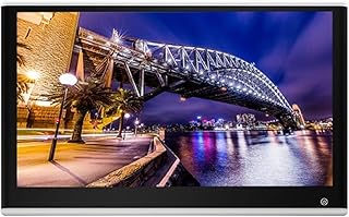 OLLIRG Portable DVD player Car Headrest Monitor Touch Screen 11/12/13 Inch 3+32GB Automobile Rear Seat Video Player Car Logo WIFI HDMI In/Out for Car (Color : 332 Silver 12 inch 1, Size : 1)