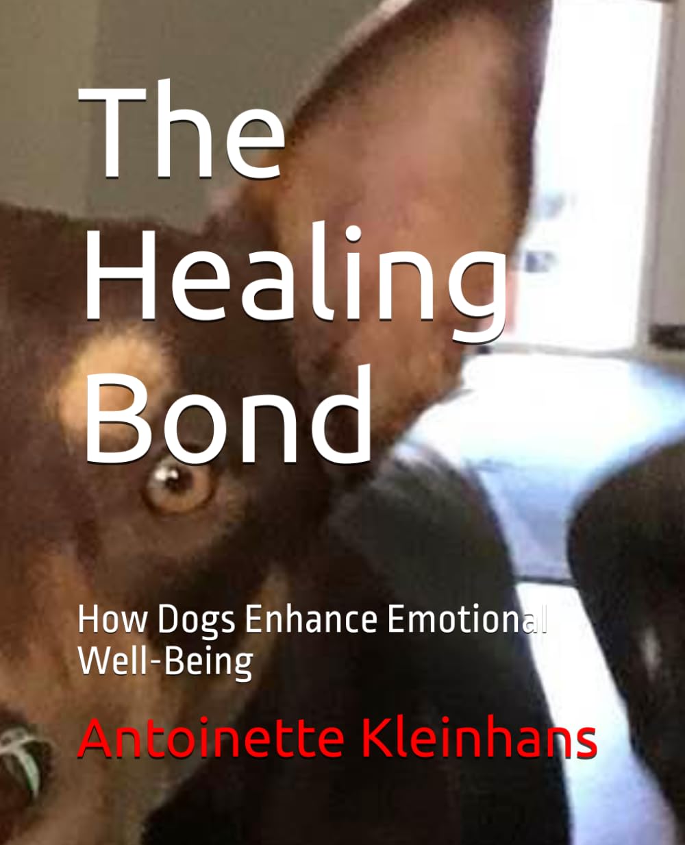 The Healing Bond: How Dogs Enhance Emotional Well-Being