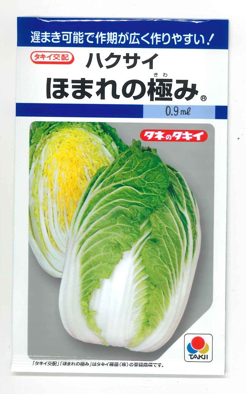 白菜 長腳白菜(1.5lb) ｜ 大统华超级市场