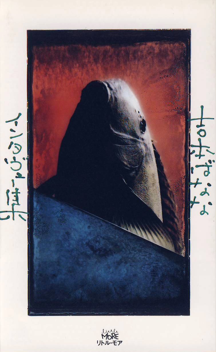吉本ばななインタヴュー集: 9784947648068: Books - Amazon.ca
