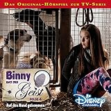 Auf den Hund gekommen (Binny und der Geist 4) - Gabriele Bingenheimer
