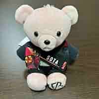 BE:FIRST モアプラスぬいぐるみ ソウタ Amazon.co.jp: BE:FIRST ANIMAL COORDY モアプラスぬいぐるみBye