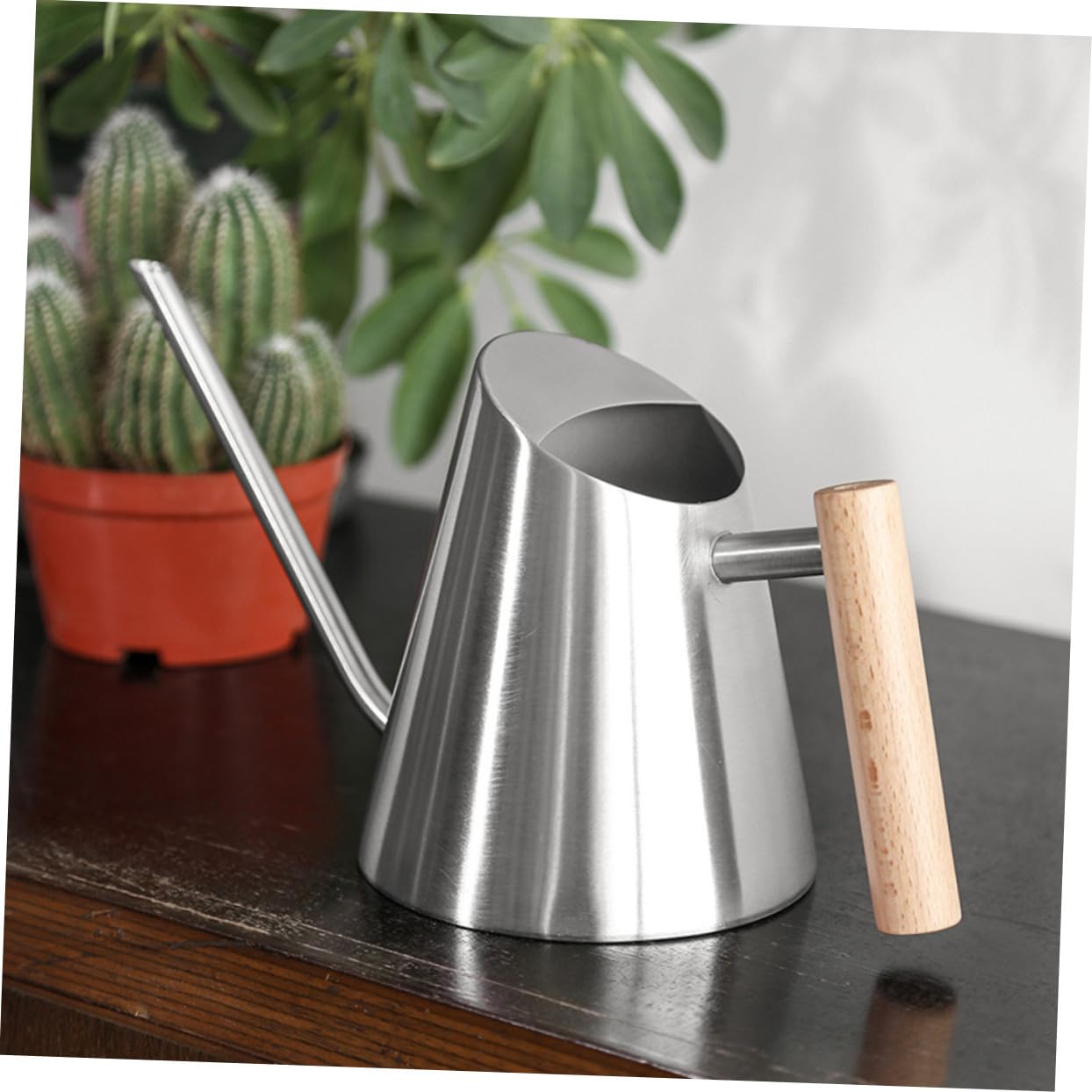Edelstahl Gießkanne 900ml mit Langem Ausguss, Silber | Holzgriff, für Gartenpflanzen und Blumen, Erreicht Kleine Stellen Beim Gießen