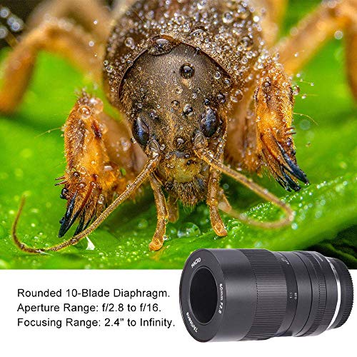 7artisans 60mm F2.8 APS-C Vaste Macro Lens voor Sony Emount Mirrorless Camera's Handleiding Focus voor Macro Fotografie… - Afbeelding 8