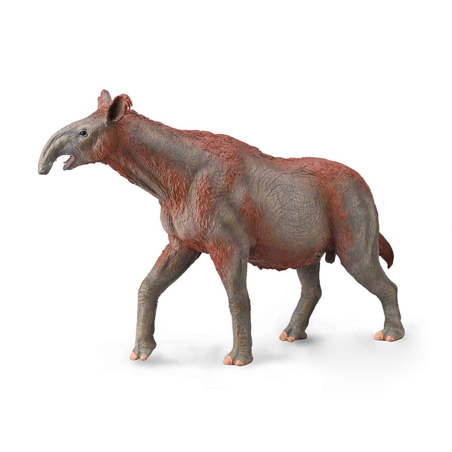 Collecta Paracera Therium
