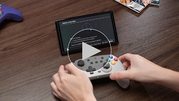 Amazon.com: ECHTPower Switch 2 Controller for Nintendo