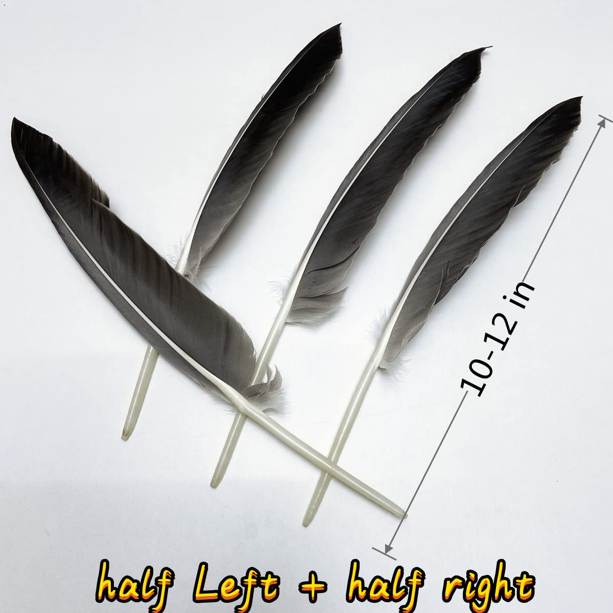 Frange Plumes D'Oie Noires 2m - Décoration Costume, Chapeau, Événements | Pour Halloween, Noël, Mariage