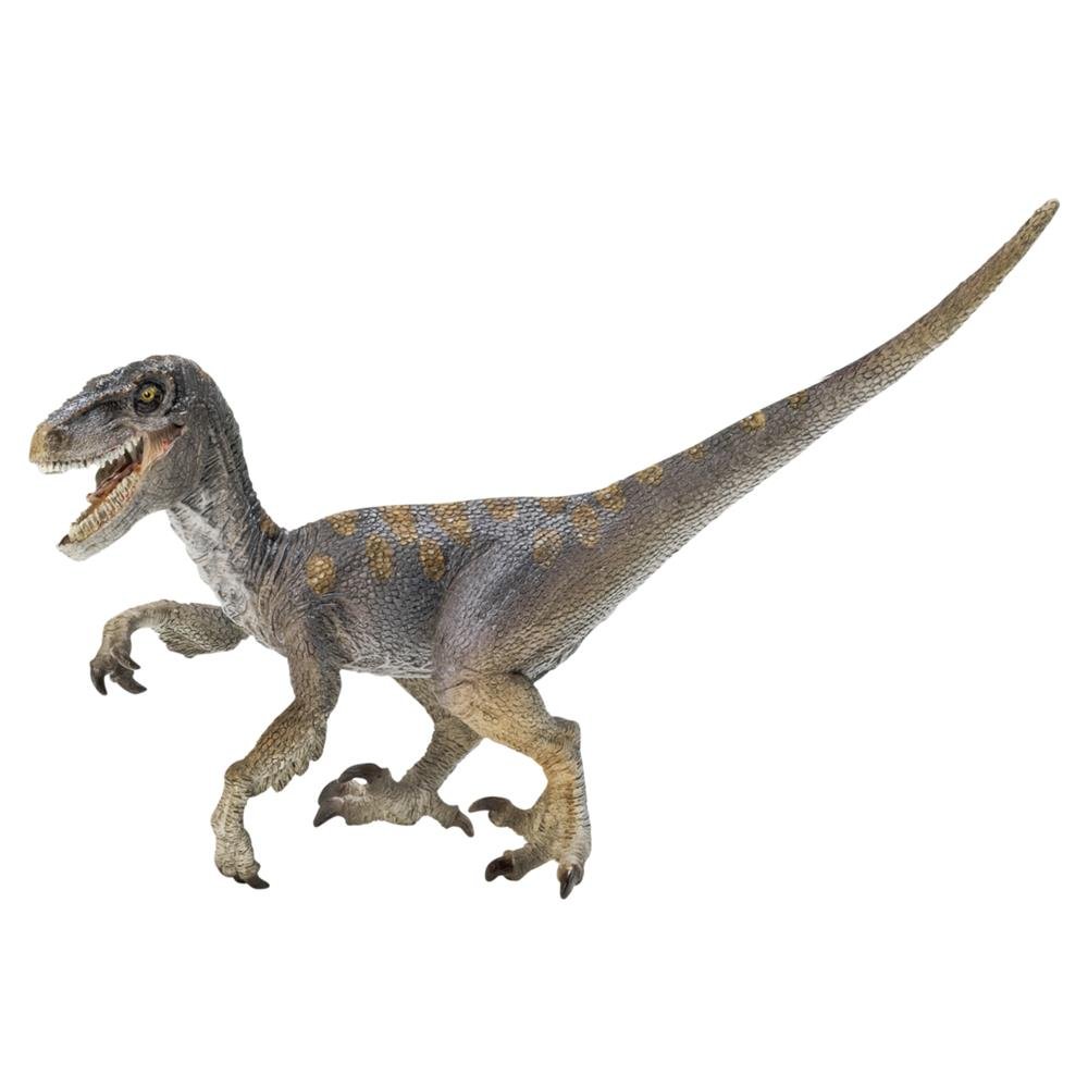 Amazon.co.jp: Schleich シュライヒ 恐竜 ベロキラプトル 14524 : おもちゃ