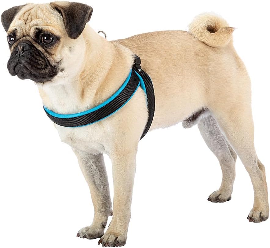 Ferplast Agila Fluo Dog Harness, Size 3, Fuchsia