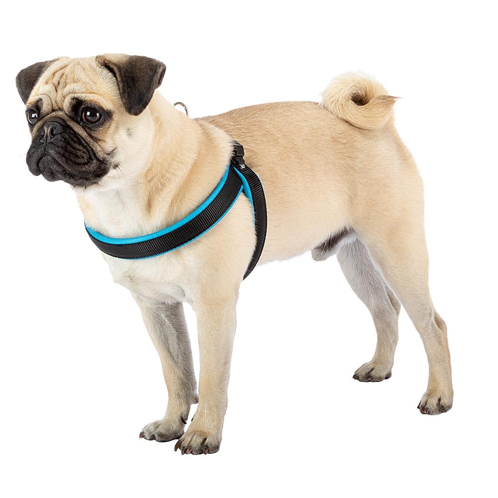 Ferplast Arnés Perro, Mediano AGILA Fluo 3 Arnés para Perros de Suave Acolchado, Sistema de Desenganche Rápido, Pecho 42-50 cm, Azul