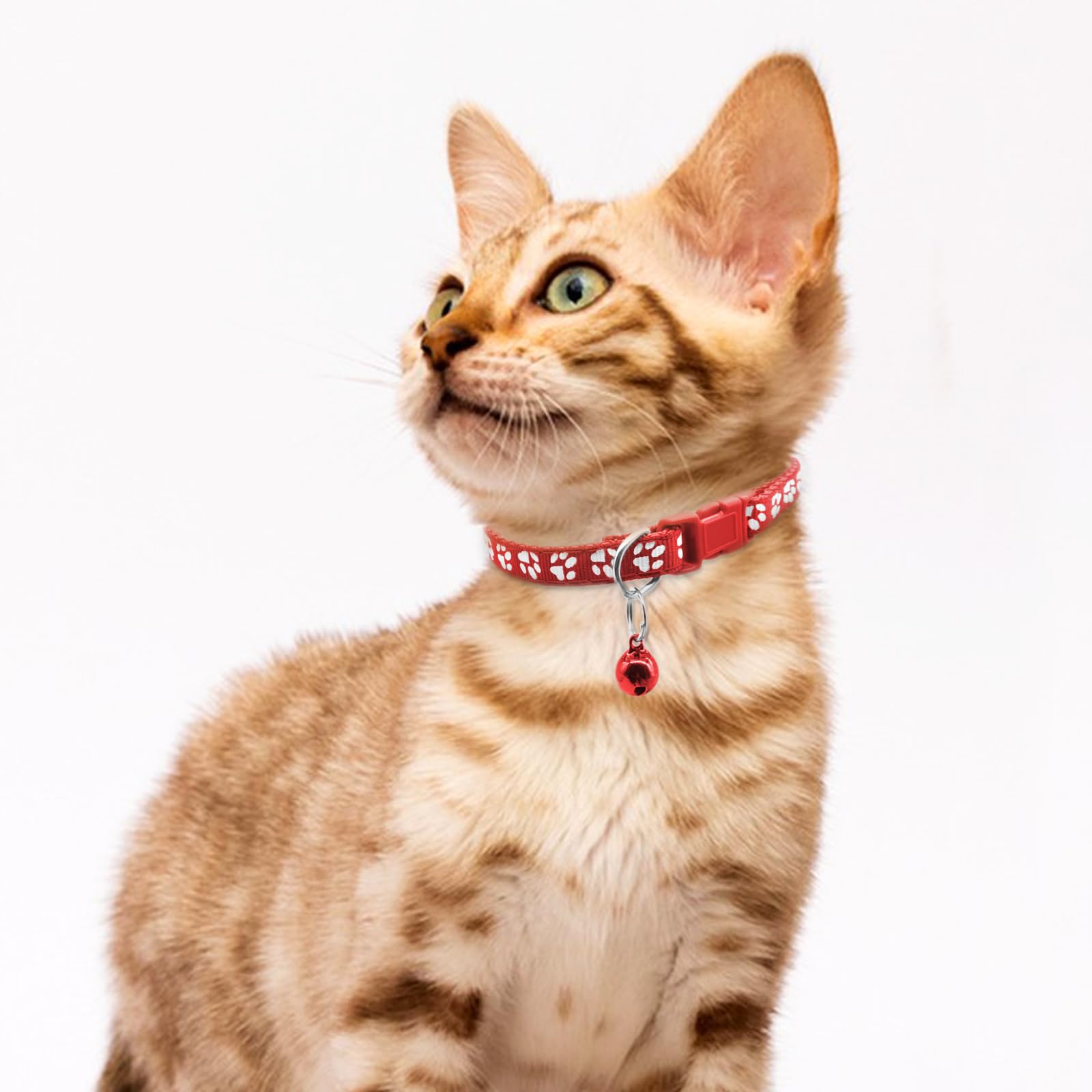 Quacc Lot de 6 colliers pour chiot, collier de mise bas coloré réglable pour chien de 19 à 32 cm, collier avec clochette pour petits chiens et chats