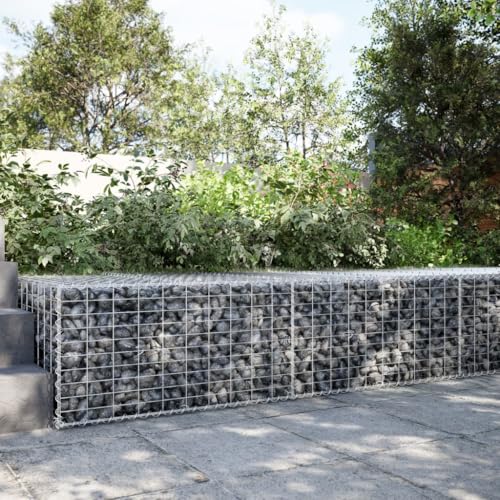 Générique Panier Gabion avec Couvercle 200x100x50 cm Fer galvanisé,Pots & Cache-Pots,24.15KG-3295179