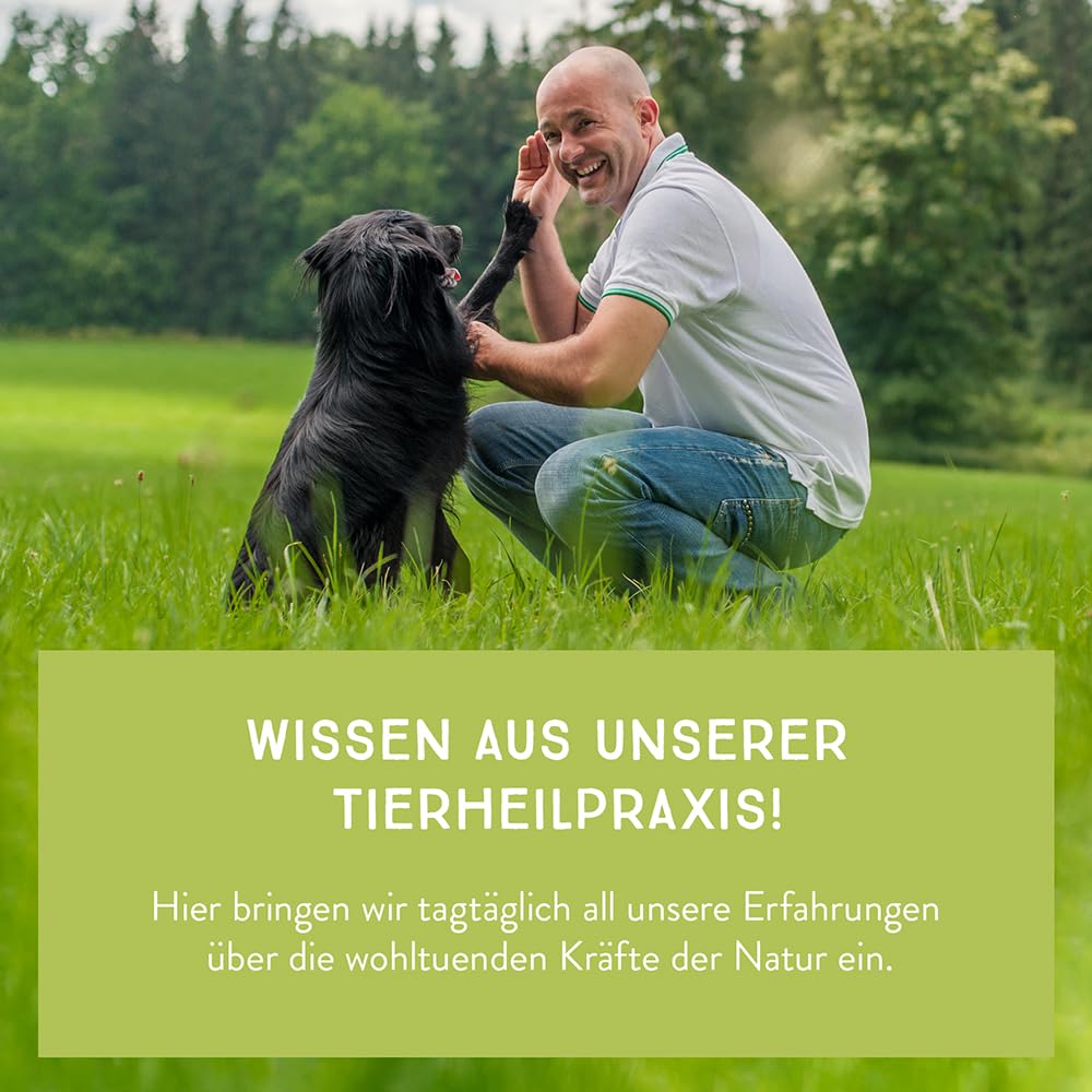 Bio Hundemüsli Vital mit Obst & Gemüse Flocken - 3kg | Hirseflocken, Kokosflocken & Karottenflocken, glutenfrei, vegan, Barf-Flocken