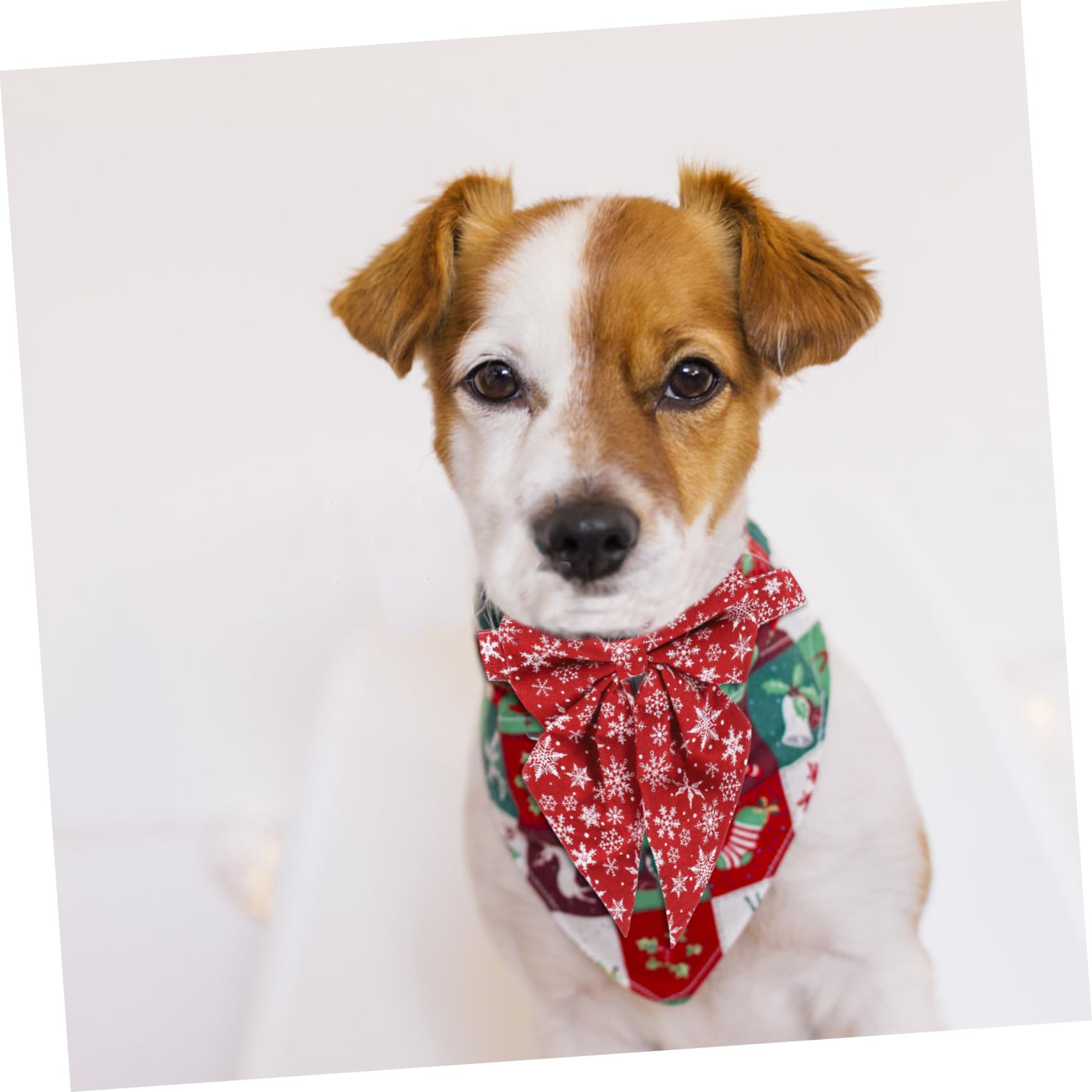 KOMBIUDA Collier de Noël pour Chat et Chien Réglable avec Nœud Amovible Décoration Festive pour Animaux Accessoire Confortable et Ajustable pour