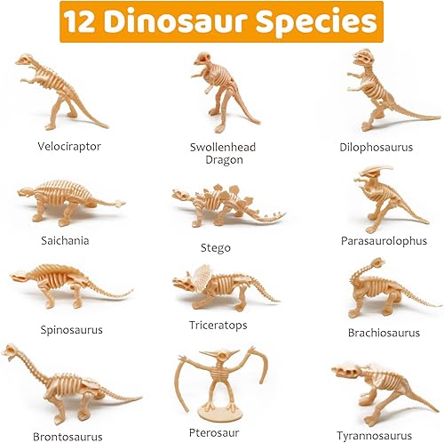 Miniatura 2 de HAPTIME 12 Pcs Dinosaur Fossil Skeletons Figures - Mini Dinosaur Figurines for Toddler Kids - Dino Bones Cake Topper Party Favors, Ideal Gift for 3