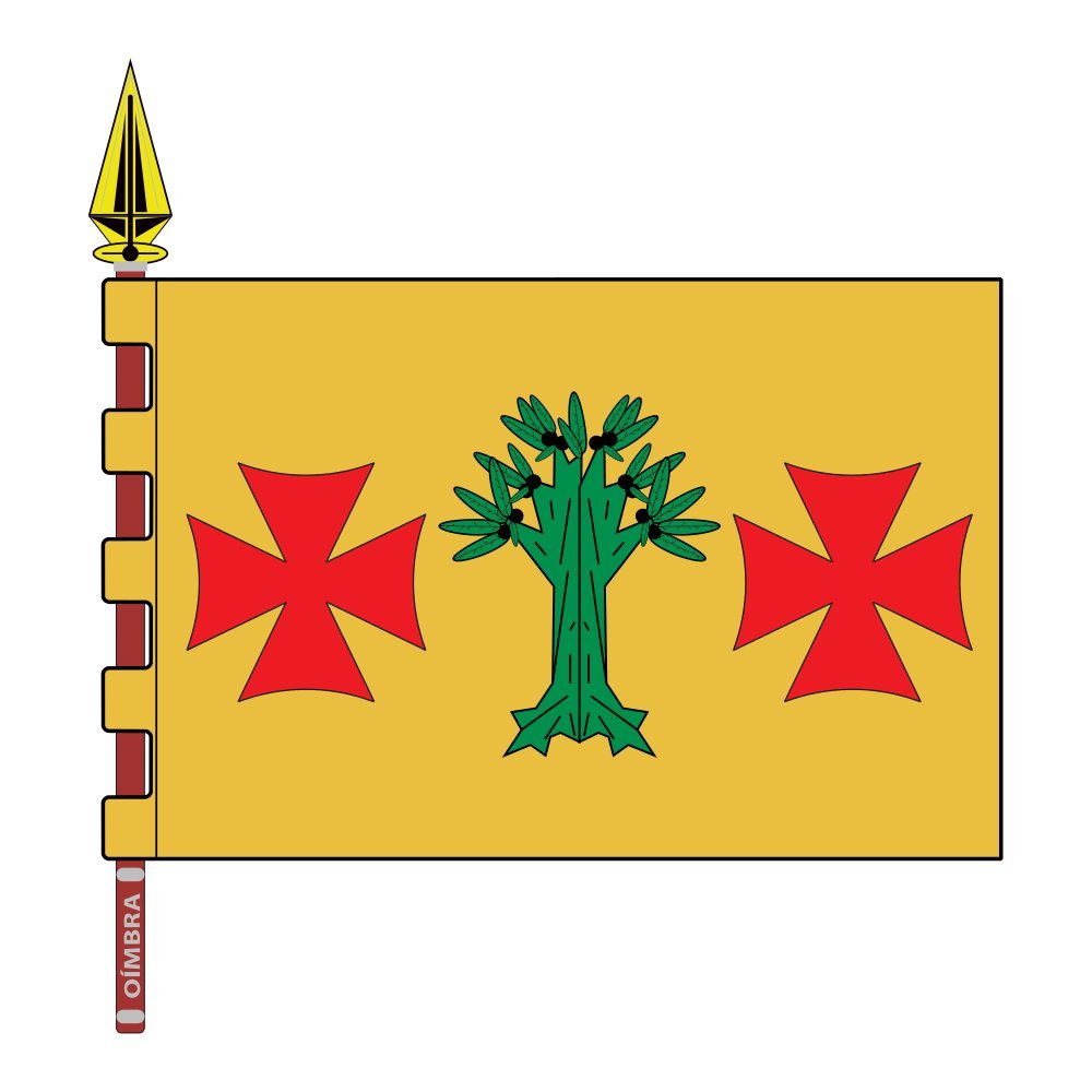Drapeau Oímbra Ourense pour pavoiser vos événements et célébrations locales